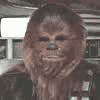 Chewy's Avatar